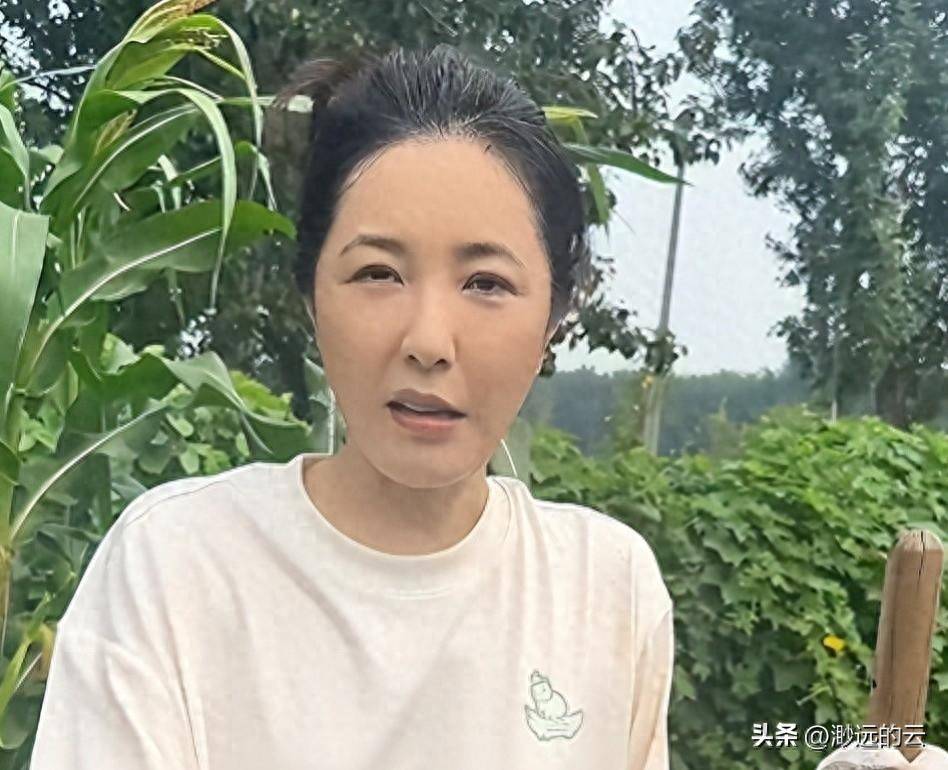 原创            49岁曾黎回老家种地，晨跑被骂不雅，人走茶凉在她身上应验了