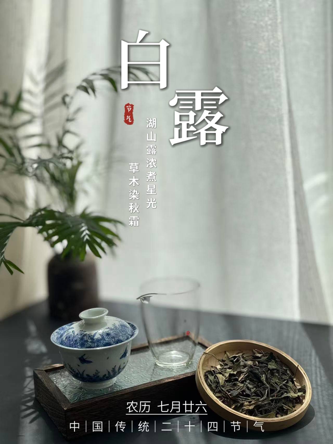 原创            今日白露，喝什么茶？怎么喝茶？我都帮你整理好了
