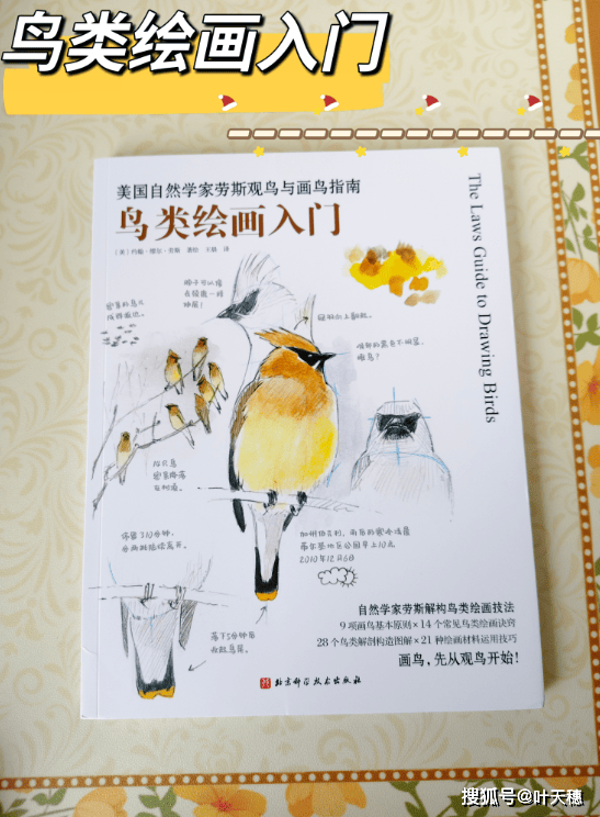 鸟类绘画入门 美国自然学家劳斯观鸟与画鸟指南