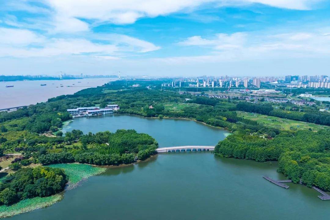 文章配图-2