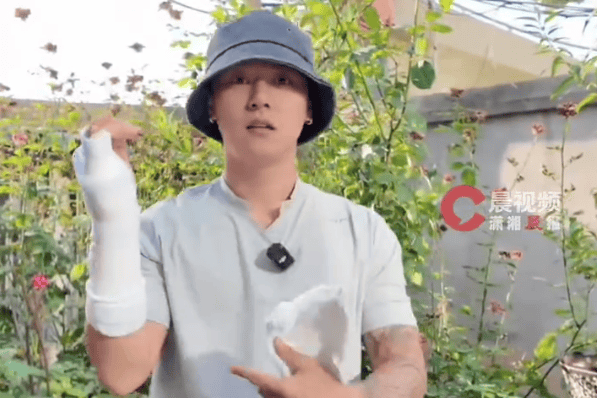《变形计》王晨正制止两男殴打一女致骨折:下次遇到仍会挺身而出封面图
