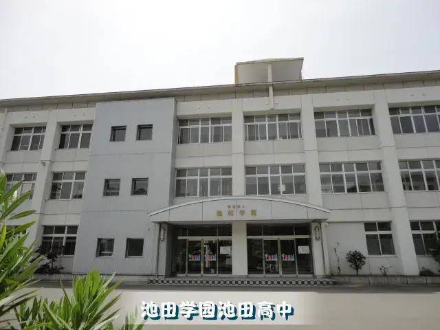 请输入图片描述