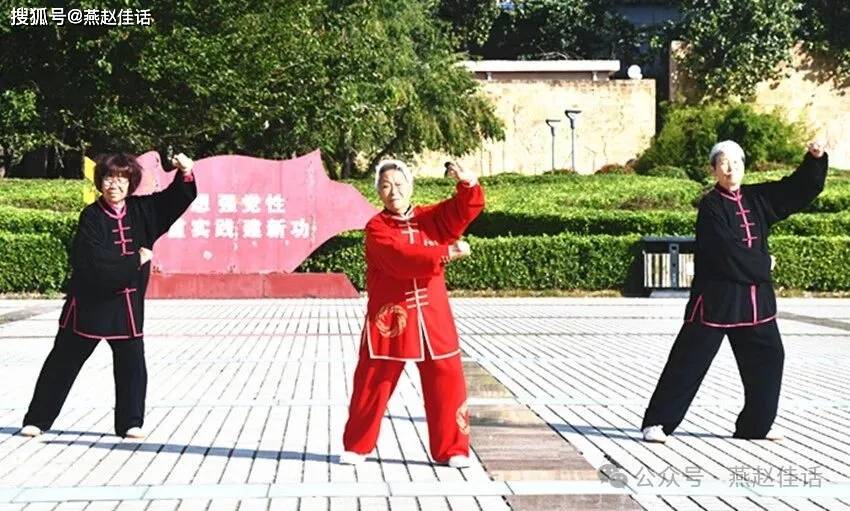 峰峰武协各分会专访(六)秀水花园太极拳分会专场演出(图16)
