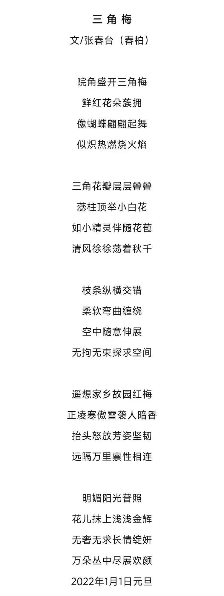 张春台——2026柏林国际艺术双年展·金钥匙国际艺术大展获奖（图25）