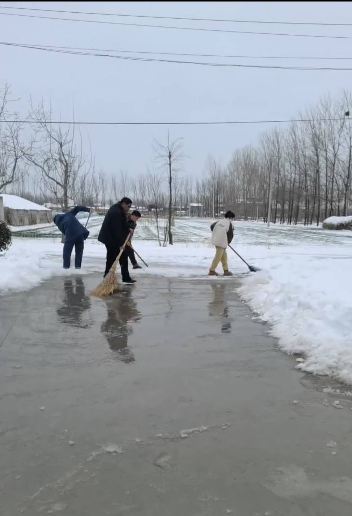 护行——沛县张寨镇贺小楼幼儿园"清冰除雪"行动_教职工_积雪_向心力