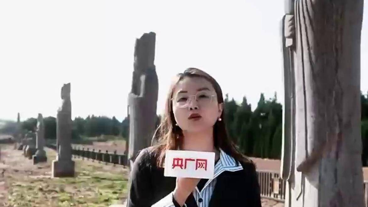 记者实地探访河南巩义北宋皇陵，聆听田野石刻千年回响