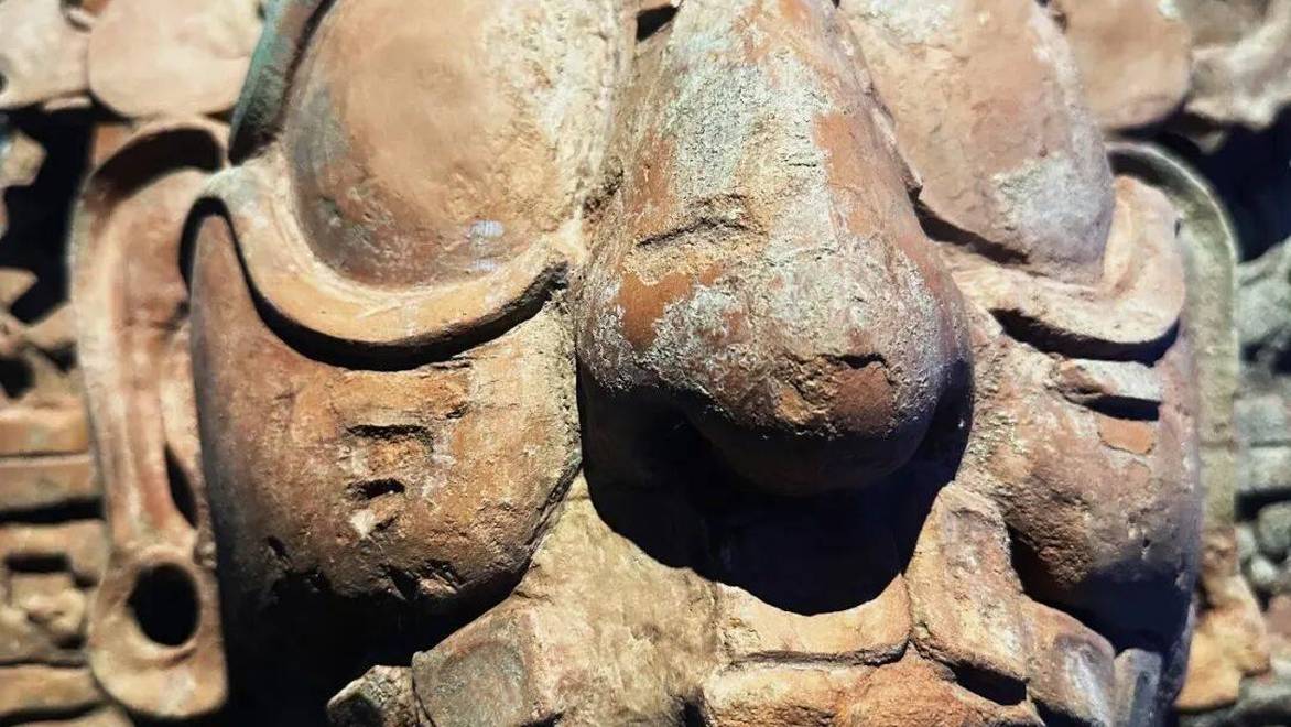 赵崇云｜共感世界树：美洲古代文明大展的思维游览9