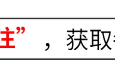 打破流言！那英复出，网友热议复出事件