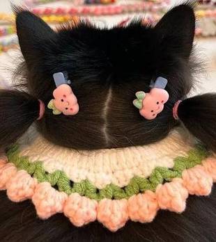 本想晒猫咪美照，却被网友神评价笑喷：难道是驱虫“导航仪”？
