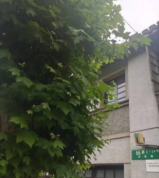 有博友好心提醒过我了，说：“阿古，晓得侬是拆迁户，低调点啊”