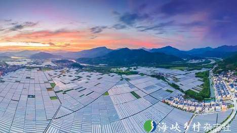 福建 | 福安水果产业：乡村振兴的甜蜜引擎