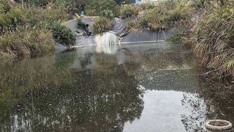 养殖与农产品加工产生的大量废水：采用复合微生物处理模式是低成本高效益的优选方案