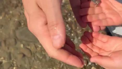 孙艺珍玄彬带儿子海边看日出 父子抓螃蟹画面温馨