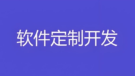 软件开发外包VS自建团队：一位营销总监的实战成本对比分析