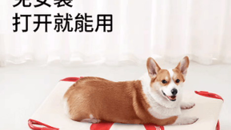 2026年5月适合春节出游的宠物床主流品牌榜单推荐