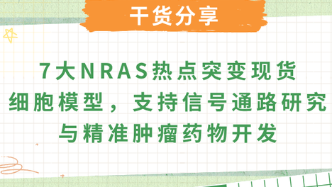 癌症中的NRAS突变：基因功能、致癌信号和临床相关变异