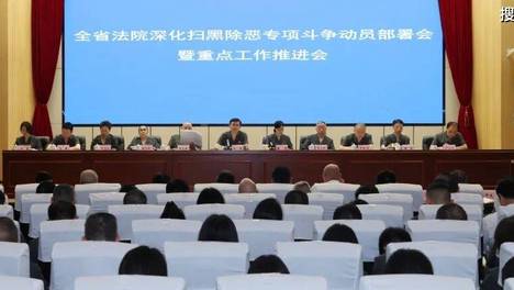 真抓实干 加压奋进 全省法院深化扫黑除恶专项斗争动员部署会暨重点工作推进会召开