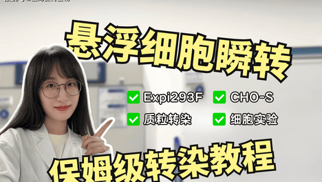 内容配图