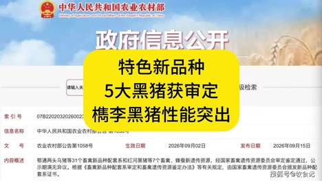 内容配图