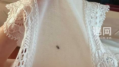 在淘宝购女士内裤出现黑色不明异物 商家称是快递打包导致的