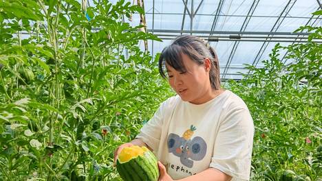 第38届北京大兴西瓜节进入倒计时 推出“十大打卡热榜”