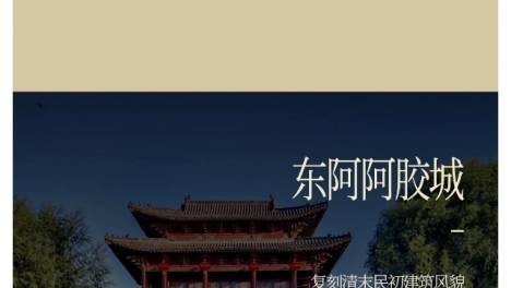 百城百艺 | 文脉藏古巷，胶香萦绕阿胶城