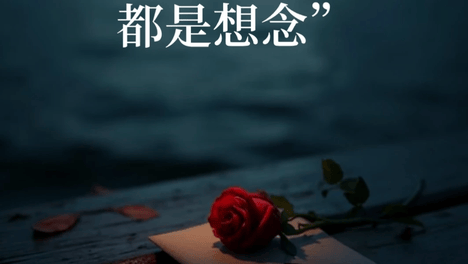 入了心的人，见与不见，都是想念