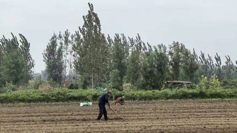 老家河南：今天郑州南阳、信阳濮阳、洛阳竟然还有这些风俗，而开封人的我，更忧伤这件事