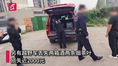 损失约3.6万！河南平顶山多辆车遭砸窗盗窃，车主称车内卡地亚手表丢失，已报警