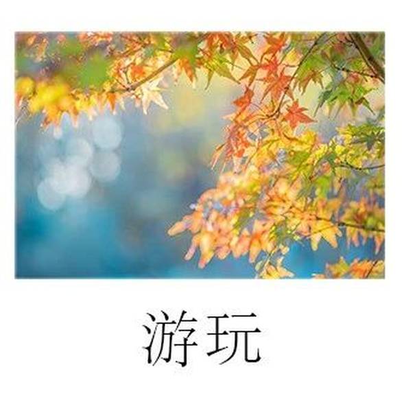 石鸿燊刘晓庆居然相差60岁