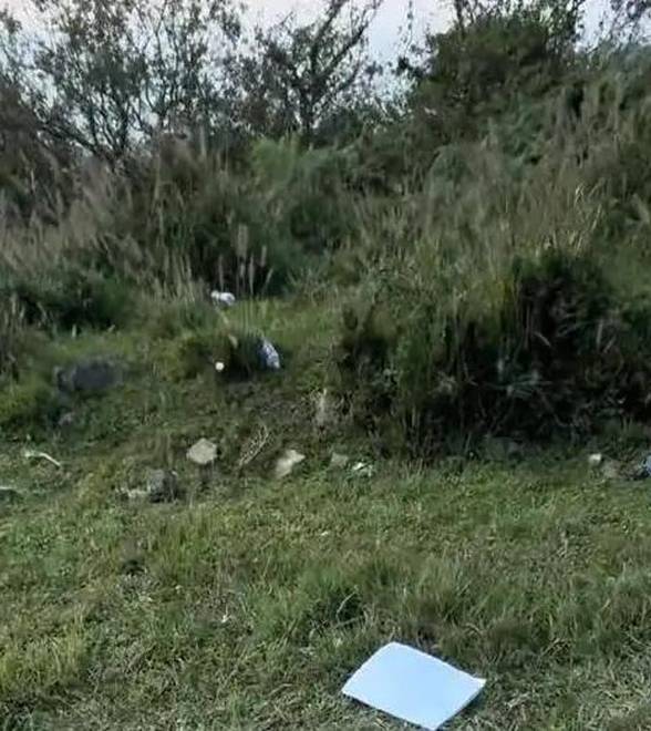 加拿大鹅回应在宁波福泉山拍摄广告遗留很多垃圾