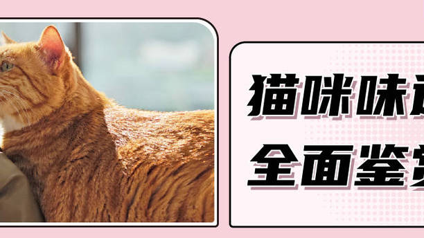 猫咪不同部位都是什么味？哪儿最好吸？