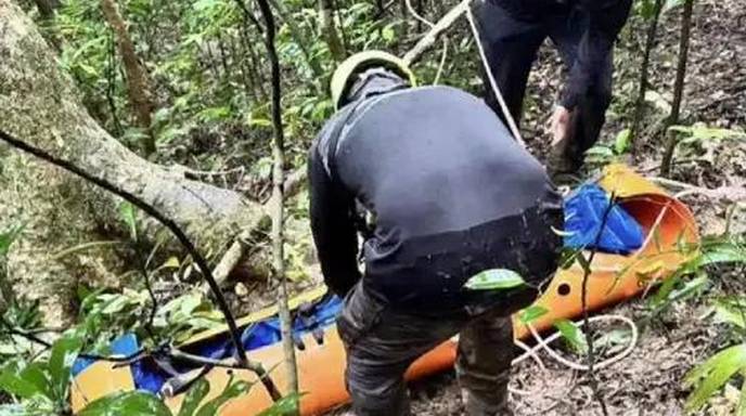 台湾虎头蜂蜇人致2死1伤，伤者被蜇30多个蜂孔