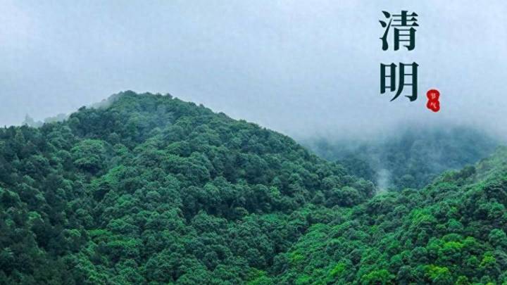 清明节，你会去扫墓吗？