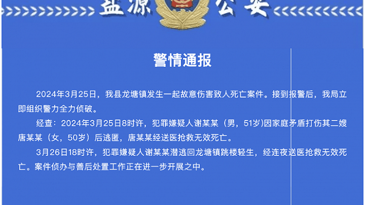 男子打伤二嫂致死后逃匿跳楼身亡，另有隐情吗？