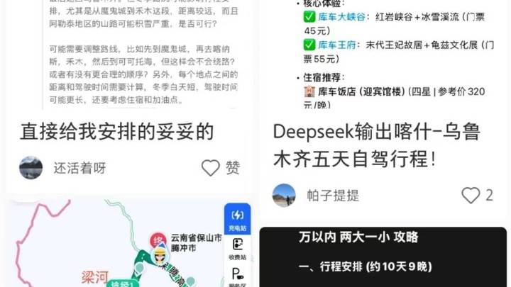 男子海南自驾返渝用deepseek规划路线直呼太好用了，你怎么看？