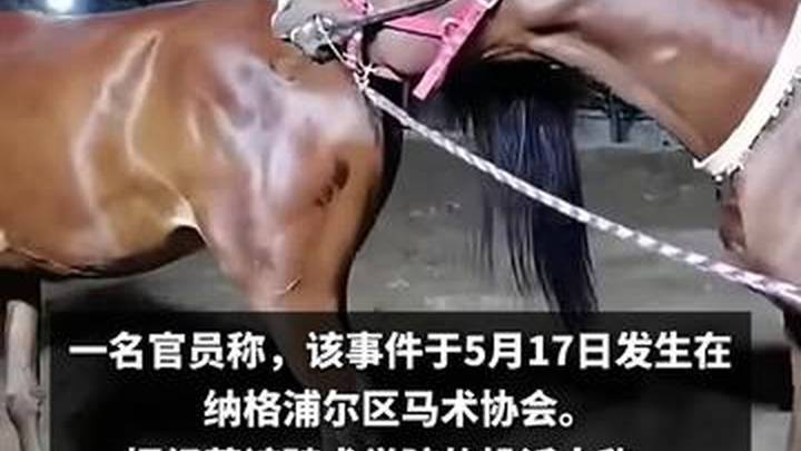 印度30岁男子因涉嫌在骑术学院性侵马匹而被捕，你怎么看？