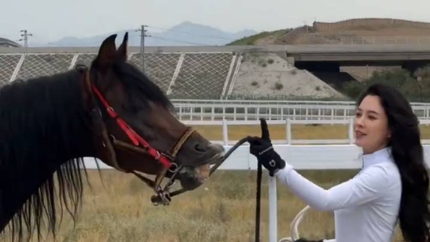 36岁森林北穿马术套装骑马驰骋 身姿曼妙状态出众