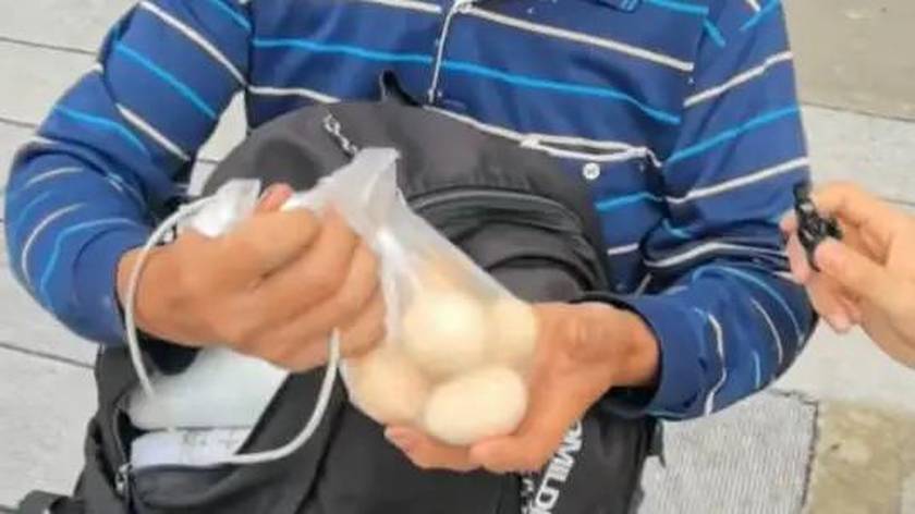 湖南花甲父亲背8个土鸡蛋接考的视频感动全网