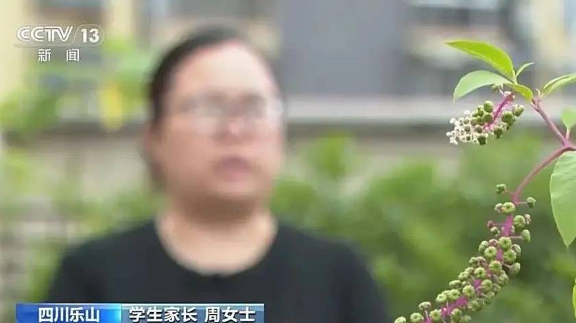 79万条学生个人信息被倒卖，详细到历次各科考试成绩