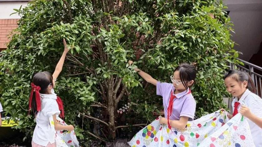 秋天限定！这堂语文课 下起了“桂花雨”
