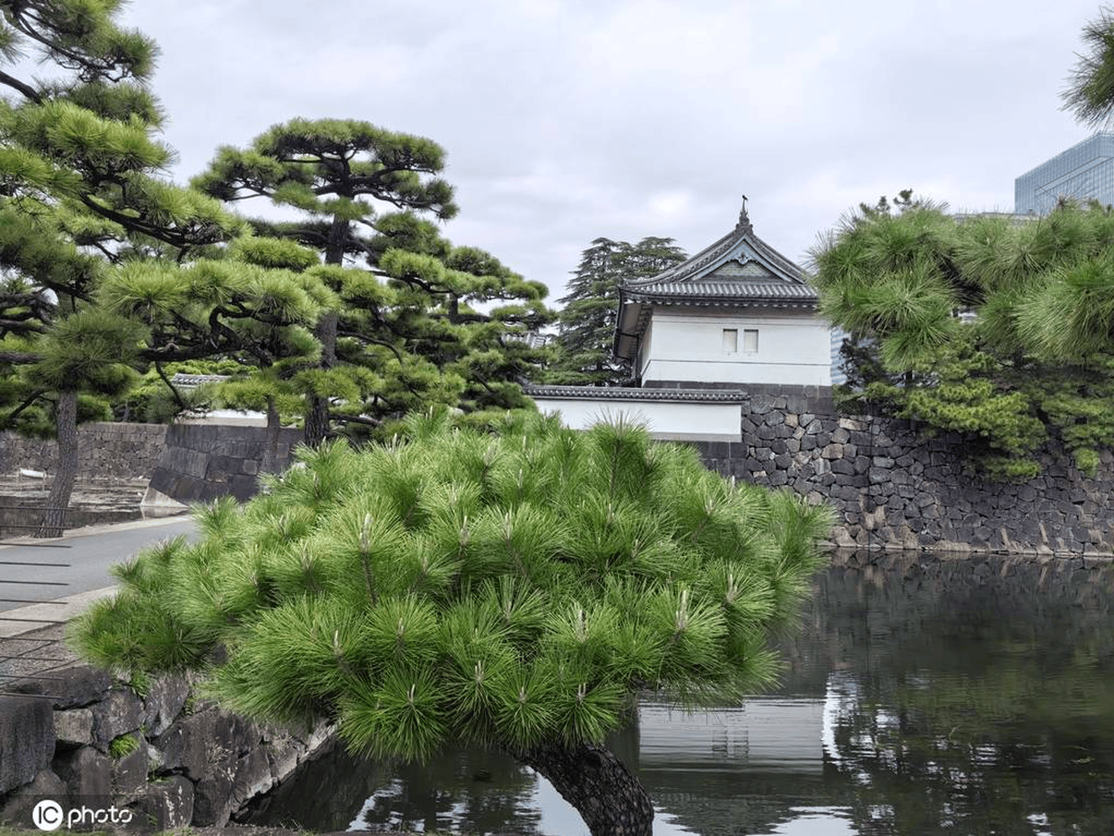 游走日本东京 皇居充满异域风情