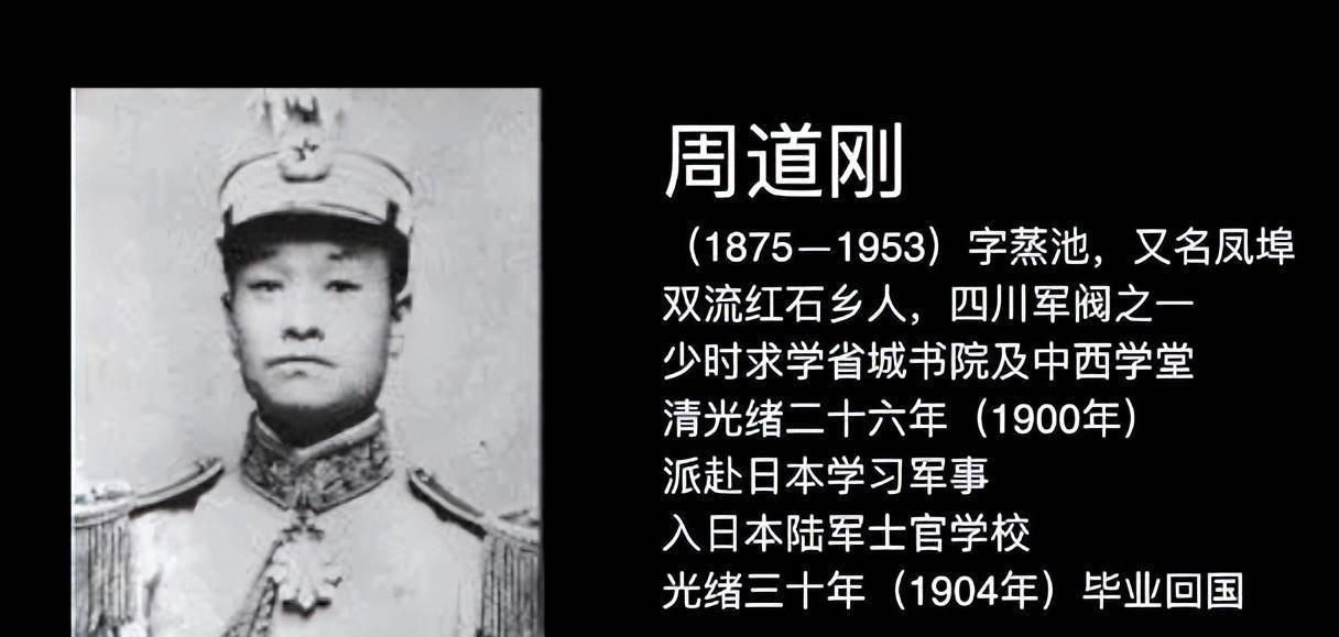 但这时,当年在二次革命中被胡景伊击败流亡日本的原蜀军军政府总司令