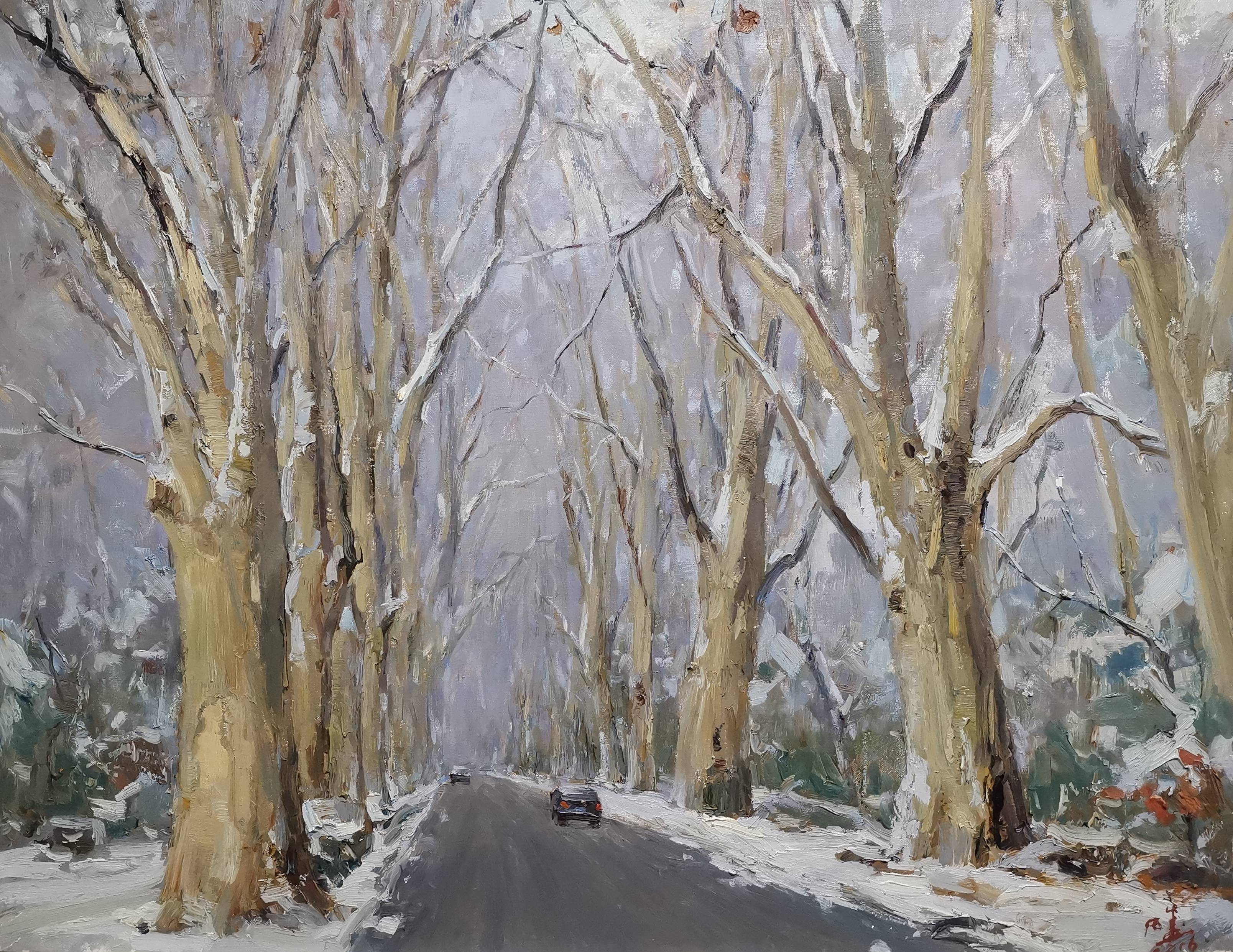 梧桐树!让南京有了浪漫的属性(内附油画家伍盛作品)四_中国_法国_历史