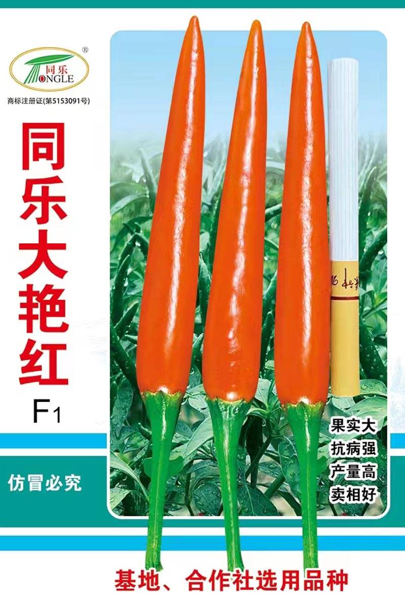 同乐大艳红朝天椒种子果大高产_种植_栽培_品种