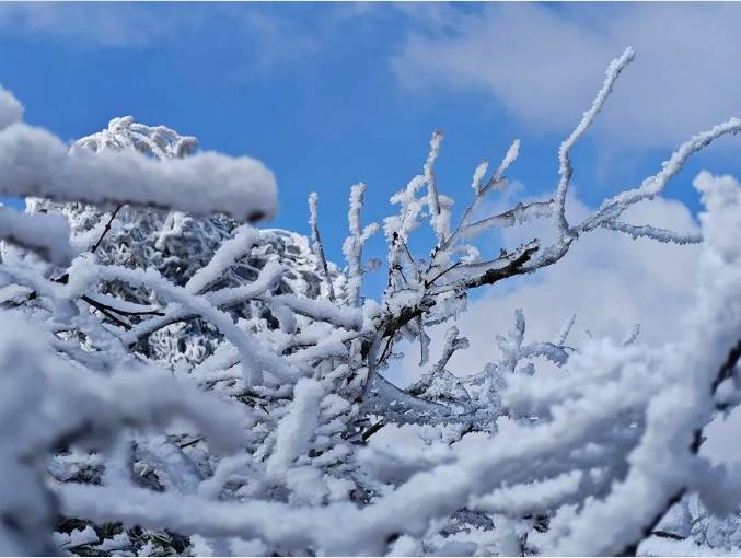 桂林资源县迎来2024年第一场雪_雪景_雾凇_资江