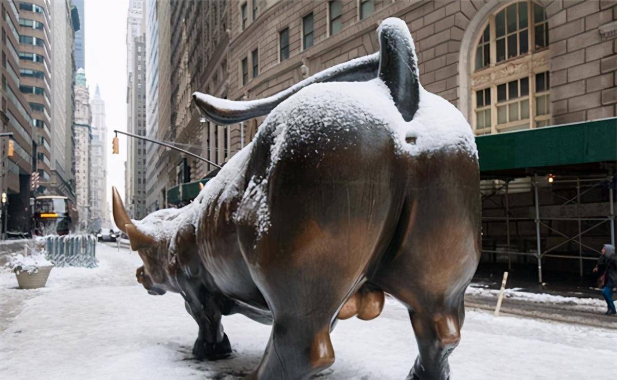 华尔街牛真实图片图片