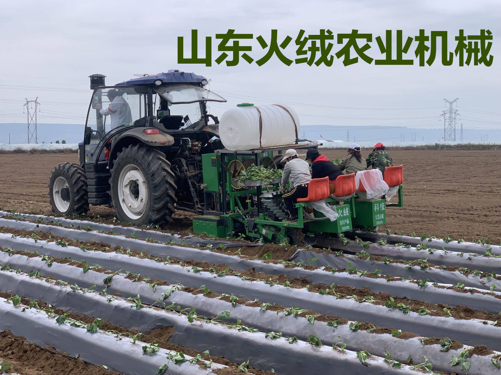 红薯移栽机 栽红薯苗机器 蜜薯栽种机 地瓜种植机械 番薯插秧机 甘薯