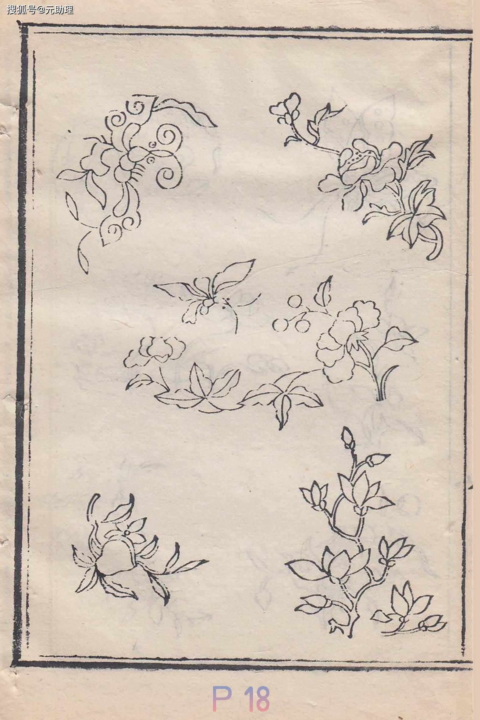 中式纹样合集:花朵,藤蔓,人物,蝴蝶,枝叶,团圆~ ai彩色绘画