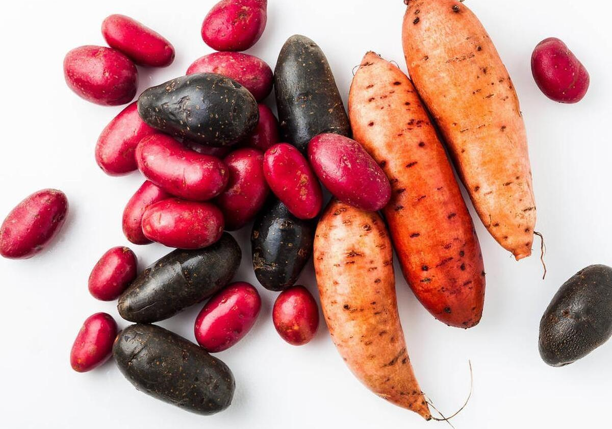 马铃薯农敢网主粮化发展,挤进三大粮食_种植_土豆_产量